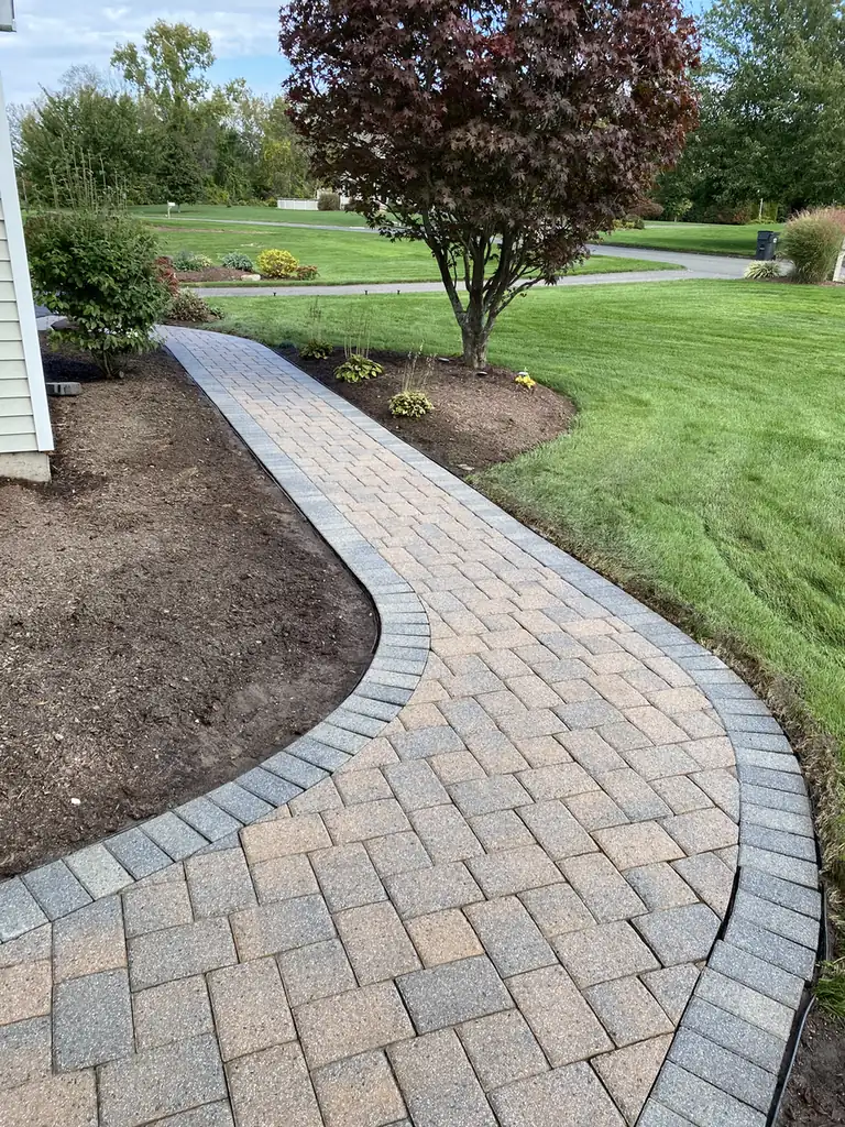 Cobble paver walkway with a charcoal border curving past a red maple in East Windsor, CT