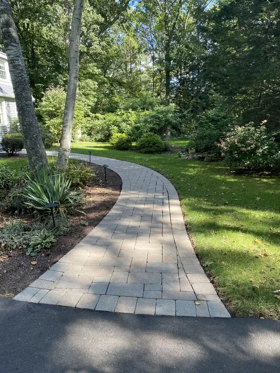 Driveway walkway, Farmington Paver walkway meeting the driveway in a shaded front yard after cleaning in Farmington, CT