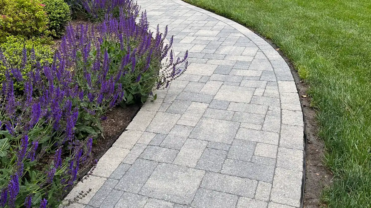 Garden walkway Curving paver walkway beside purple salvia and peonies at a white colonial home in Connecticut