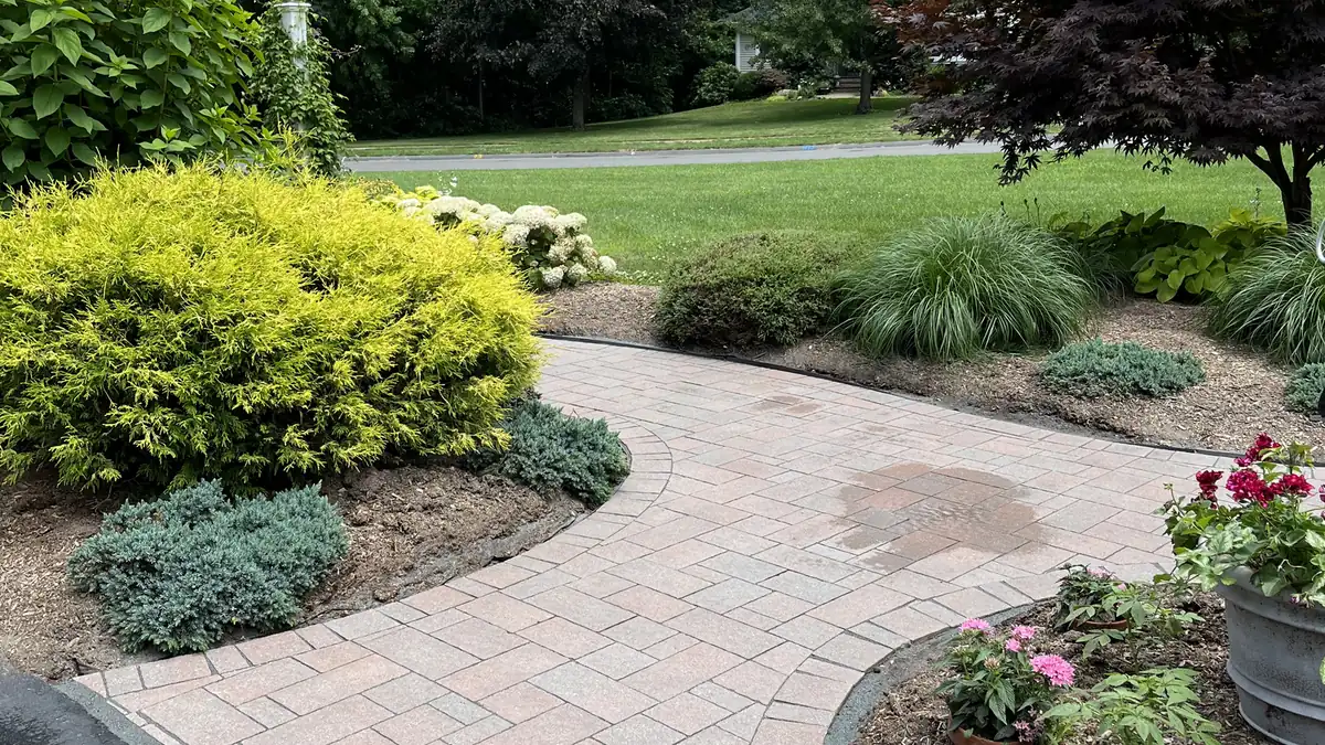 Front garden walkway Rose paver walkway leaving the driveway through a planted front garden in South Windsor, CT