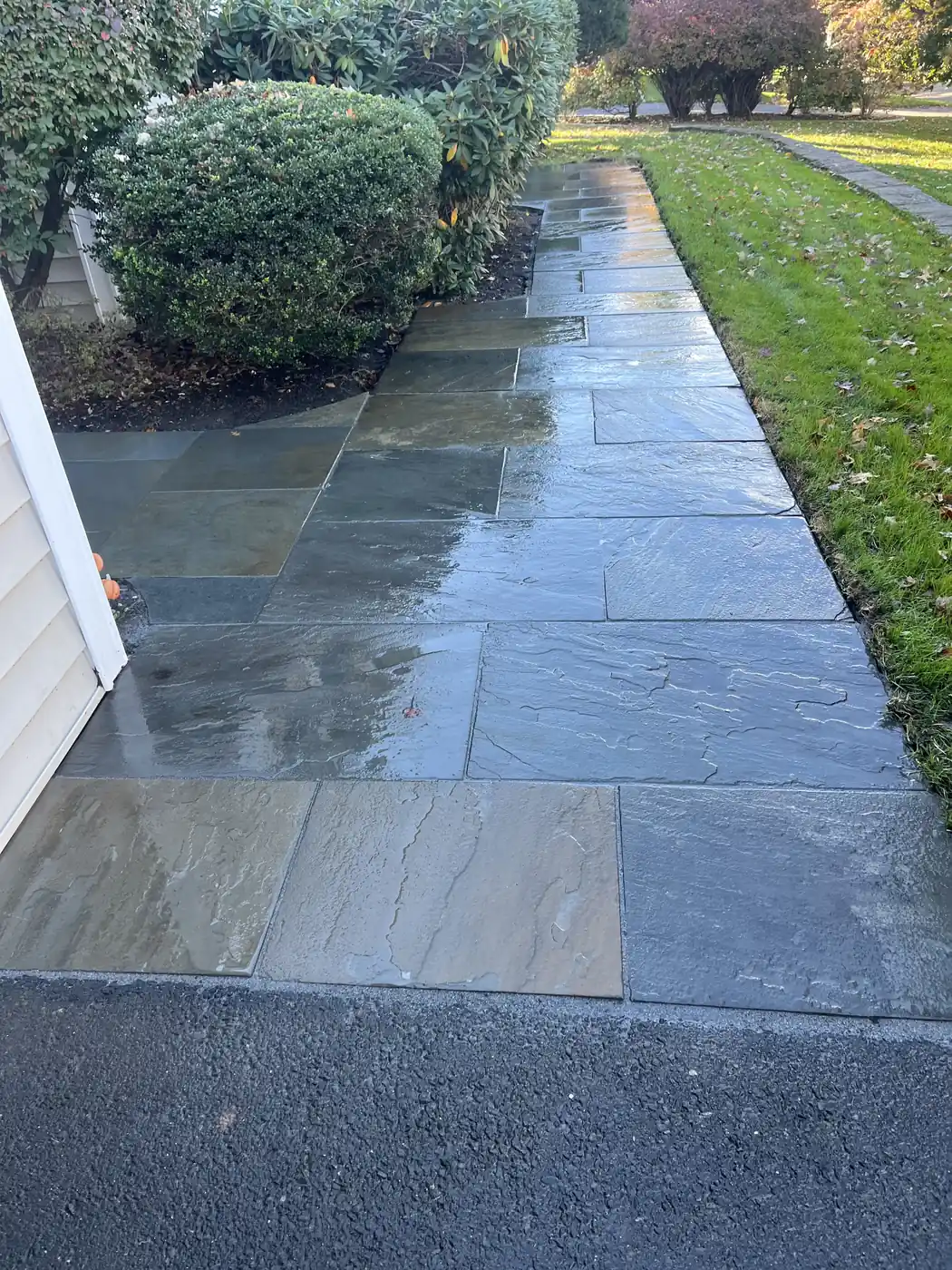 Bluestone walkway still wet from a soft wash, showing blue and rust tones, in West Hartford, CT